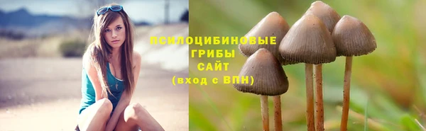 2c-b Алексеевка