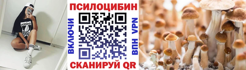 Псилоцибиновые грибы MAGIC MUSHROOMS  Купить  Тында 