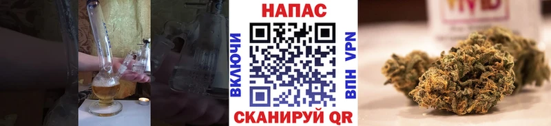 Бошки Шишки SATIVA & INDICA  Купить  Тында 